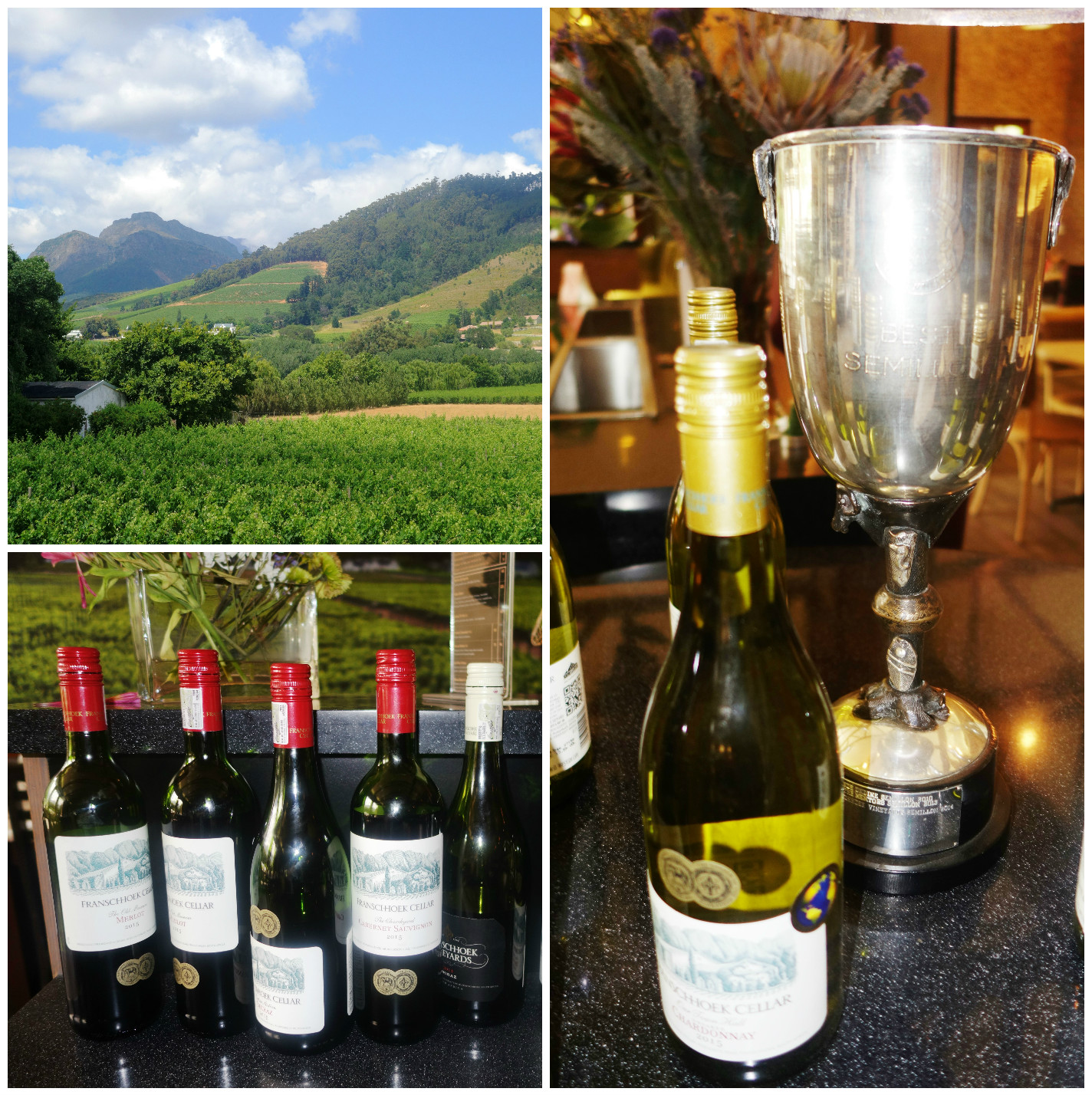 wine-tasting-at-franschhoek-3a